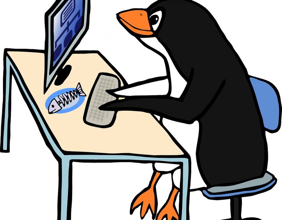 Jaki Linux wybrać?